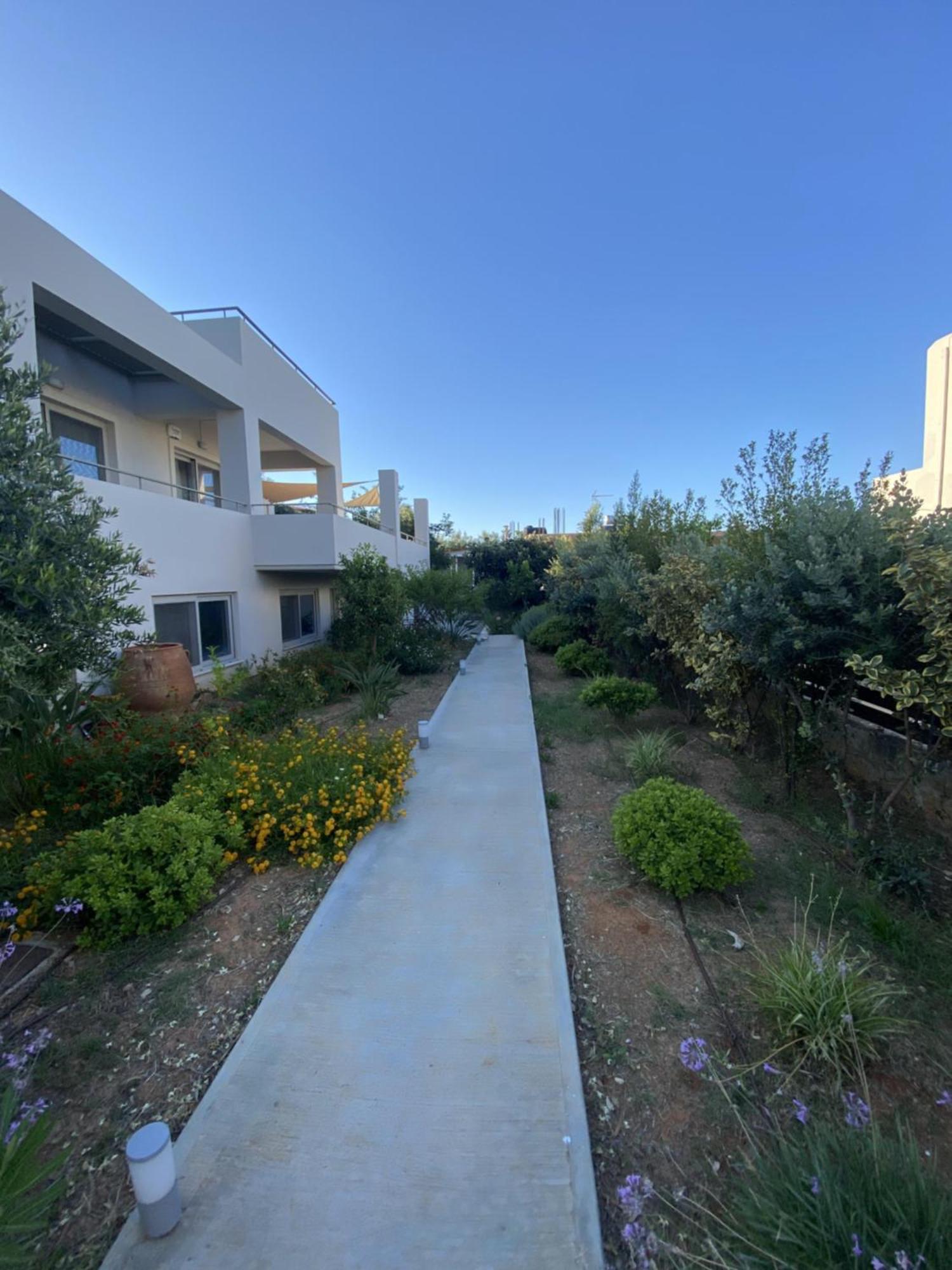 Villa Oliveto Tavronitis المظهر الخارجي الصورة